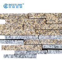 Outil automatique de bricolage, Machine de découpe de mosaïque pour Kerb Stone, Tesserae
