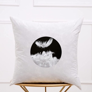 Almohada de seda de morera <span class=keywords><strong>para</strong></span> <span class=keywords><strong>silla</strong></span> de oficina, insertos de cojín de plumas 45x45, color blanco, China - Product Image 4