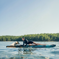 Rampe gonflable pour chien avec certificat CE, marchepieds pour chien sur l'eau, facile à transporter, planche de surf pour animaux de compagnie, jeux aquatiques en plein air