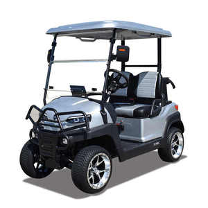 Golf Cart <b>2</b> <b>Passengers</b> High Quality Buggy Customized Motor Acid Battery Controller Lead Color Typ - Product Image 1