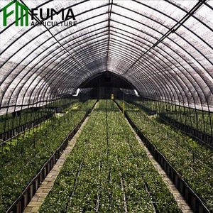Secador agrícola multicanal de gran tamaño con película de PE de una sola capa, tipo invernadero, de bajo consumo energético, para chiles - Product Image 5
