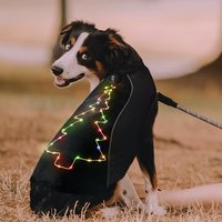 Premium Luxus Polyester Verstellbarer Sommer-Kühlmantel Atmungsaktives Mesh Leichtgewichtig Waschbar Bunter LED-Hundemantel für Weihnachten