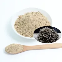 Offre Spéciale extrait de champignon Maitake extrait de plante organique Grifola Frondosa poudre d'extrait de champignon Maitake