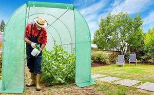 <span class=keywords><strong>Serre</strong></span> tunnel 3x2x2m robuste avec structure galvanisée et bâche en PE - Product Image 3