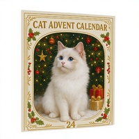 Kedi Advent Takvimi 24 Günlük Kağıt Oyuncak Kutusu Noel Geri Sayım Hediye Seti Mini Kedi Figürleriyle Birlikte Koparılabilir Tatil Süsü