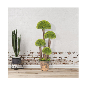 PZ-<span class=keywords><strong>3</strong></span>-205 실내 가정 장식 안티 UV 가짜 토피 녹색 공 회양목 식물 냄비와 인공 분재 나무 - Product Image 1