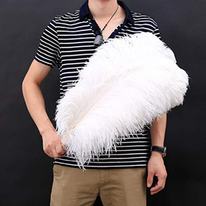 Plumes d'autruche blanches de toutes tailles, 15-70 cm (6-28 pouces), 10 pièces, pour l'artisanat, les accessoires de mariage, la décoration, décoration de plumes d'autruche - Product Image 1