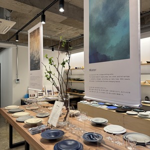 Vajilla de porcelana japonesa ligera Serie TLP Durable Lujoso Mino Ware Microondas Apto para lavavajillas - Product Image 5