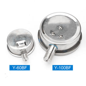 Manómetro de Acero Inoxidable Resistente a la Corrosión Radial y al Vapor a Alta Temperatura Y-60BF, Resistente a la Oxidación, Vacío Negativo Y-100BF - Product Image 2