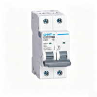 Disjoncteur miniature CHINT NB5-63H C32A 1P 2P Courbe C 10kA IP20 AC220V/230V Rail DIN Certifié CE CB Cuivre PA66 Usine