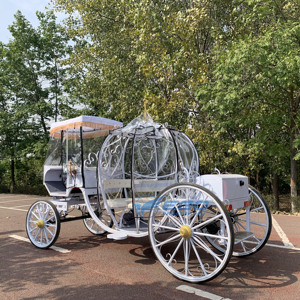 Hot--sell <b>White</b> Electric Wedding Pumpkin Carriage Wholesale Price Wedding Carriage Pumpkin Horse Carriage for Sale - Product Image 5