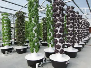 Vertical Hydroponic Garden Tower Farming Family Use Mini Indoor Hydroponic Aeroponic Growing Tower System