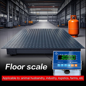 Capacity 3000kg 0.5Kg <strong>Digital</strong> Platform Lift Floor <strong>Scale</strong> Weighbridge With Stainless Steel - Product Image 4
