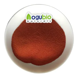 Aogubio naturale estratto di pomodoro in polvere 10% licopene di alta qualità 10% licopene in polvere estratto di pomodoro licopene estratto in polvere