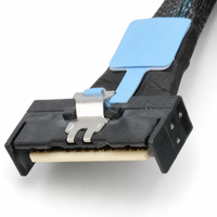 Câble de serveur MCIO 8I SFF TA 1016 74 broches vers 74 broches PCIe Gen5 pour carte HBA NVMe SSD Stockage d'entreprise – Vente directe usine