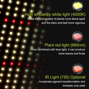 Panel LED de 240W 30301H para reenhouses, tablero de diodos, 3000K 3500K 4000K