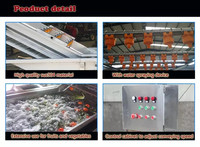 Industriële Datum Palm Fruit Wasmachine Groente Wassen Apparatuur