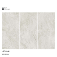 1200x1200 Gris clair Finition naturelle mate Carrelage de grande taille pour sol