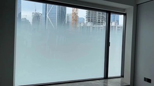 <span class=keywords><strong>Film</strong></span> dégradé givré verre de brouillard carré <span class=keywords><strong>film</strong></span> décoratif <span class=keywords><strong>Film</strong></span> de verre à motif de fumée - Product Image 4