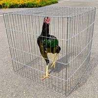 Enclos à poules en fil de fer galvanisé anti-rouille, grillage 2,5 mm/3 mm, mailles de 5x10 cm, cage à coqs pliable avec porte