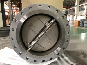 Van Kiểm Tra Kép Mặt Bích Đôi SS WCB DN1000 PN40 - Product Image 2