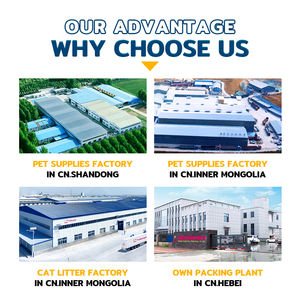 Produk terbaru populer Aksesori modis daya tahan aman kerah hewan peliharaan - Product Image 3