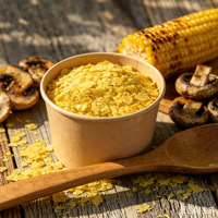 Flocons de levure nutritionnelle végétalienne en gros, riches en vitamines du complexe B naturel, à base de plantes, protéines complètes, assaisonnement, matière première