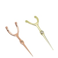 Kit de cure-dents en acier inoxydable pour le nettoyage buccal, avec fil dentaire et éliminateur de tartre, pour usage domestique