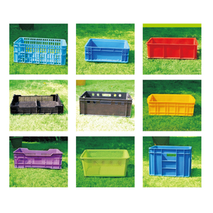 Ép Nhựa Rau <span class=keywords><strong>Crate</strong></span> Khuôn Maker - Product Image 5