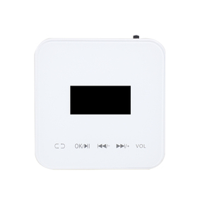 เครื่องเสียงโฮ<span class=keywords><strong>ม</strong></span>เธียเตอร์อัจฉริยะ20W,เครื่องเล่นเพลงพื้นหลังเครื่องขยายเสียงขนาดเล็ก PA พร้อ<span class=keywords><strong>ม</strong></span>บลูทูธ USB/TF หน้าจอแสดงผล - Product Image 4