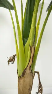 125 ס""מ פלסטיק מדומה 10 עלים צמחים ללא ריח תפאורה גן נוי מציאותי פלנטיין מלאכותי משה באג'ו עץ בננה