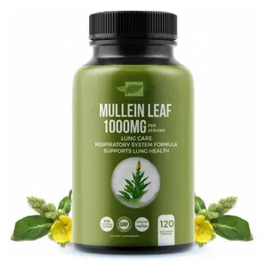 Mullein leaf extract capsules for lungs/mullein leaf supplement