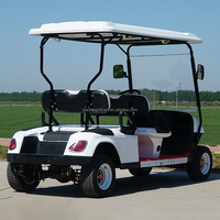 Voiturette de golf électrique à 4 roues et 2 places pour parcours de golf, villa et petite communauté