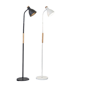 Lampe sur pied verticale réglable en hauteur, style nordique européen, en fer, LED blanc chaud, 90 CRI, 5000 lumens, pour salon - Product Image 1