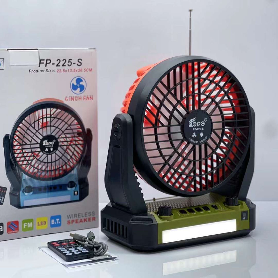 FP-225-S Portable FM/AM/SW Radio with Light - Rechargeable Multi-Band ...