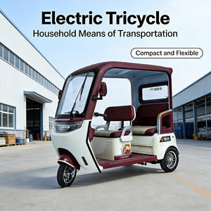 <span class=keywords><strong>Tricycle</strong></span> électrique 60V à bas prix, 650W, pour adultes d'âge moyen et personnes âgées, design élégant, scooter électrique - Product Image 4