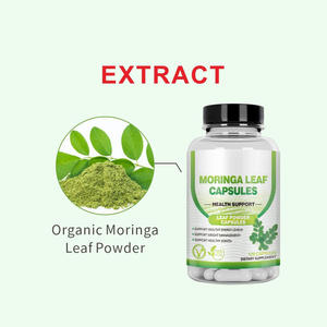 Органические капсулы моринги оптом от производителя, 120 штук, для взрослых, для поддержания здорового уровня энергии - Product Image 4