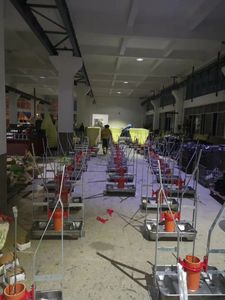 Vendita calda <span class=keywords><strong>100KG</strong></span> dry and wet acciaio inossidabile/telaio in ghisa attrezzature per l'alimentazione dei maiali alimentatori automatici per l'allevamento di suini - Product Image 3