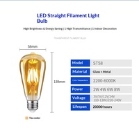 Ampoule LED ST58 E27 à filament droit, température de couleur 2200K, style Edison rétro décoratif, créative, en aluminium, avec variateur d'intensité, pour usage résidentiel