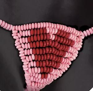 Bragas de diseño popular al por mayor Tallas grandes Mujeres <span class=keywords><strong>Ropa</strong></span> <span class=keywords><strong>interior</strong></span> <span class=keywords><strong>comestible</strong></span> de colores Caramelo - Product Image 3