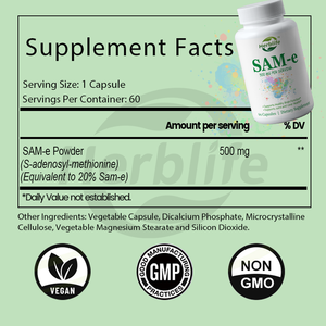 OEM ODM Private Label SAM-e Supplément 500mg S-Adénosyl-L-Méthionine Capsules pour le foie du cerveau et le soutien de l'humeur - Product Image 2