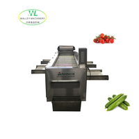 Hete Aanbieding Automatische Groente- en Fruit sorteermachine Rolbaan SUS304 RVS GSJ-5 Model voor Komkommer/Yam/Noot