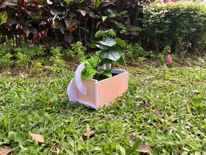 Maceta de Alta Calidad con Forma de Gato, Bonita Maceta Decorativa <span class=keywords><strong>para</strong></span> Jardín, Maceta con Forma de Animal - Product Image 3