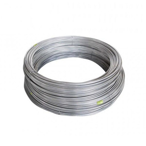 سلك من الفولاذ المقاوم للصدأ مغموسة بالبرودة الساخنة 0.3 من الفولاذ المقاوم للصدأ - Product Image 1