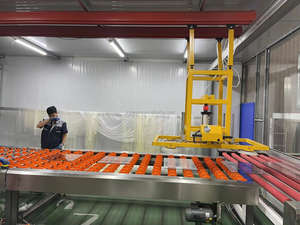 Autoklav laminierte Flachglas-Laminier-Produktions linie PVB - Product Image 5