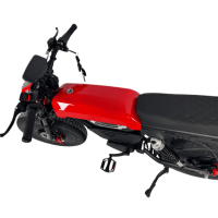 Vélo de montagne électrique, moteur sans balais 1500W, batterie lithium-ion 48V 13/21Ah, vitesse maximale 60 km/h, autonomie 80 km, alliage d'aluminium