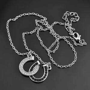 Collier de haute qualité pour hommes et femmes, bijoux animaux, strass noirs et blancs, collier chaîne fer à cheval double U - Product Image 4