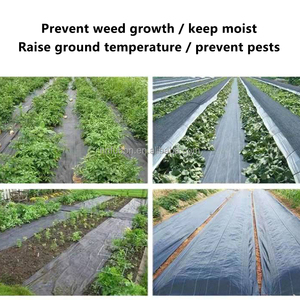 Le tapis de sol en tissu anti-mauvaises herbes pour l'agriculture en PP/PE inhibe les mauvaises herbes et hydrate le sol utilisé pour recouvrir le sol - Product Image 6