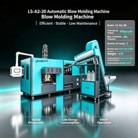 Machine de soufflage de bouteilles d'huile entièrement automatique à grand volume LS-A2-20L, 2 cavités, 900 BPH, pour préformes PET, directement de l'usine (OEM/ODM)