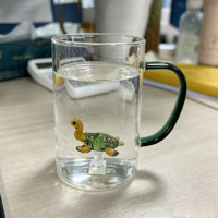 Tasses en verre résistant à la chaleur, tasse en verre transparent soufflé à la main avec une petite tortue 3D à l'intérieur, verre à boire avec poignée verte pour le café et l'eau